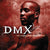 Album Review: It's Dark and Hell Is Hot by DMX